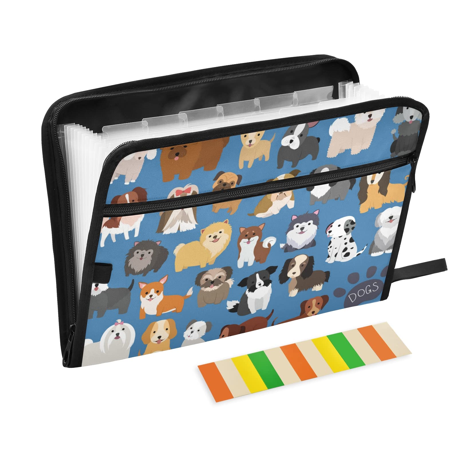 北海道大学 ファイル フォルダー ケース Amazon | ファイルフォルダー布製PPプラスチック書類ケース